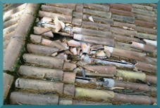 Reinigung des Daches und Austausch defekter Dachziegel